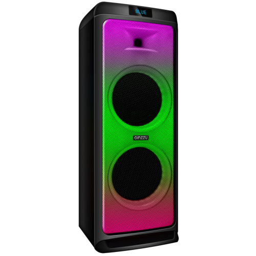 Акустическая система GINZZU GM-205