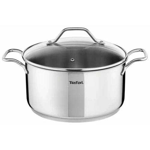 Кастрюля Tefal B8644674 d24см (без крышки) серебристый (2100125815)