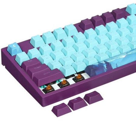 Клавиатура проводная Red Square Keyrox TKL Classic Everfrost