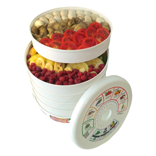 Сушилка для овощей Renova DVN31-500/5