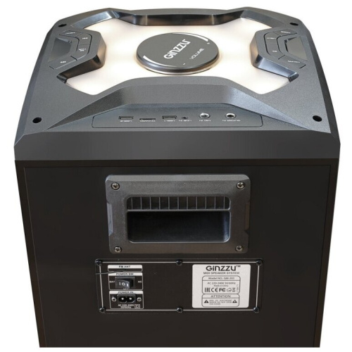 Акустическая система GINZZU Midi GM-203