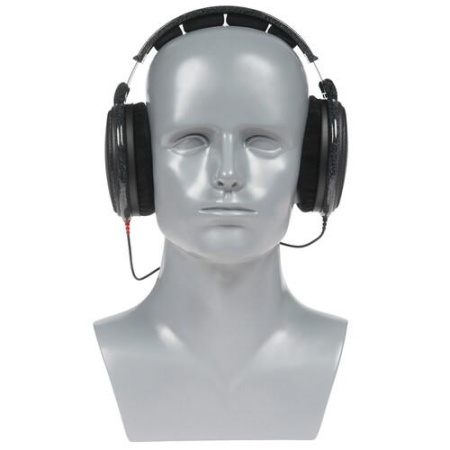 Проводные наушники Sennheiser  HD 600 черный