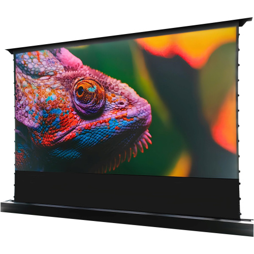Экран Cactus 125x221см FloorRising CS-PSFRCLR-221X125 16:9 напольный рулонный черный (моторизованный привод)