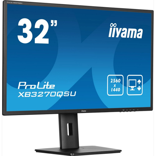 Монитор Iiyama ProLite XB3270QSU-B1 черный